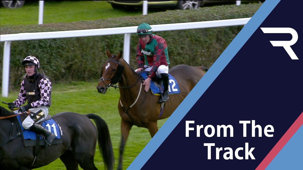 A 40/1 stunner in the 2021 Badger Beer Chase at Wincanton as ROCCO prevails! - Racing TV