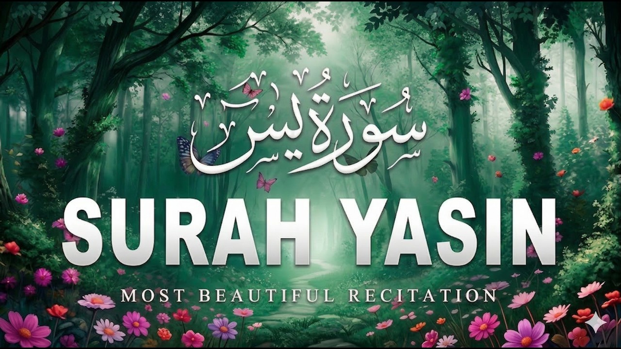 🔴 Surah Yaseen Live Recitation | Heart of the Quran | Peaceful Quran Tilawat
