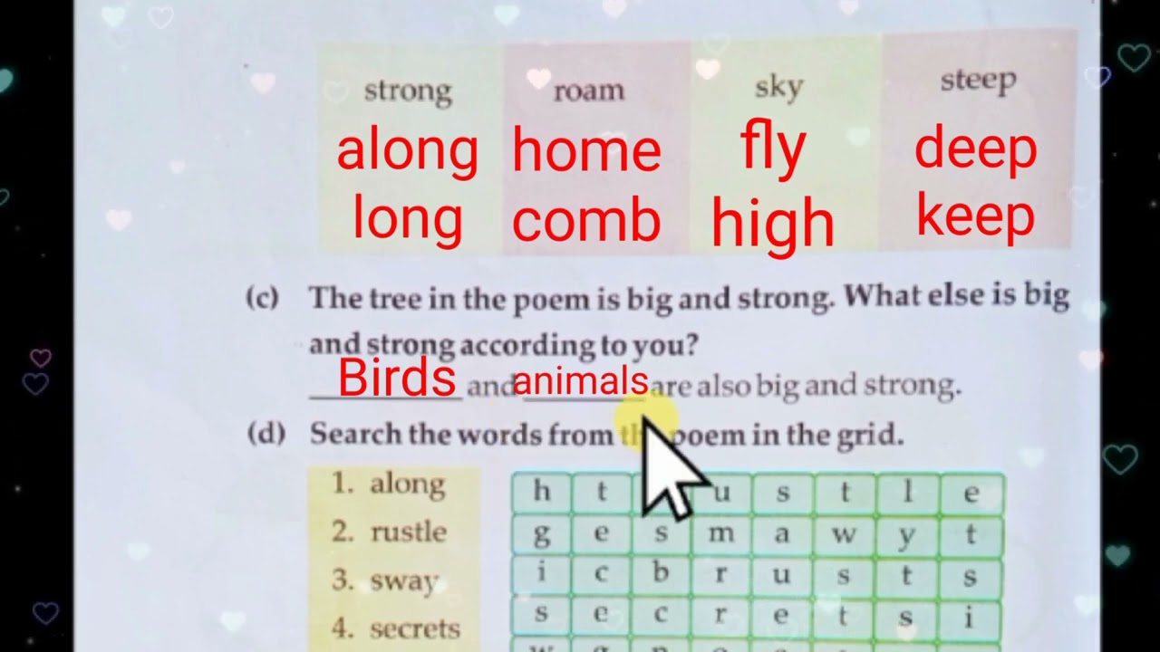 Class 3 | English Lesson 4 | PSEB Rainbow New book |Solved Exercise 