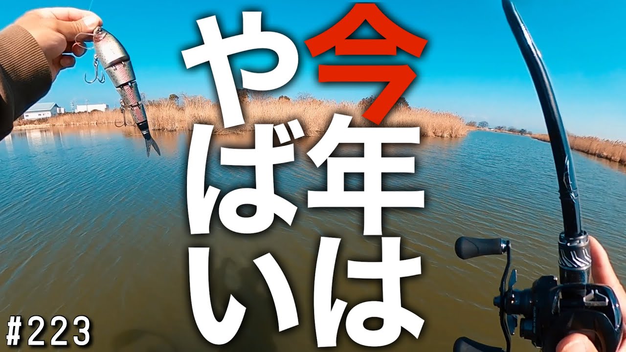 琵琶湖伊庭内湖今年の春はヤバいです2026.2.22