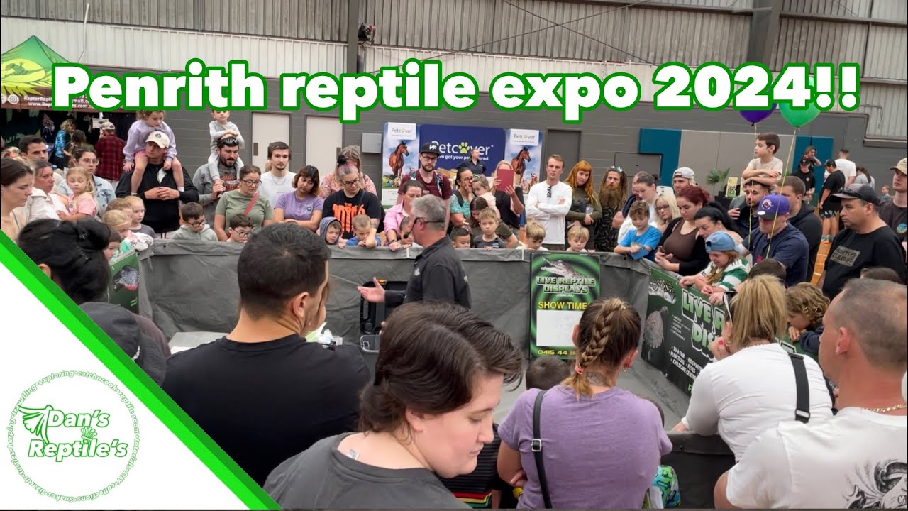 Penrith Reptile Expo 2024!!