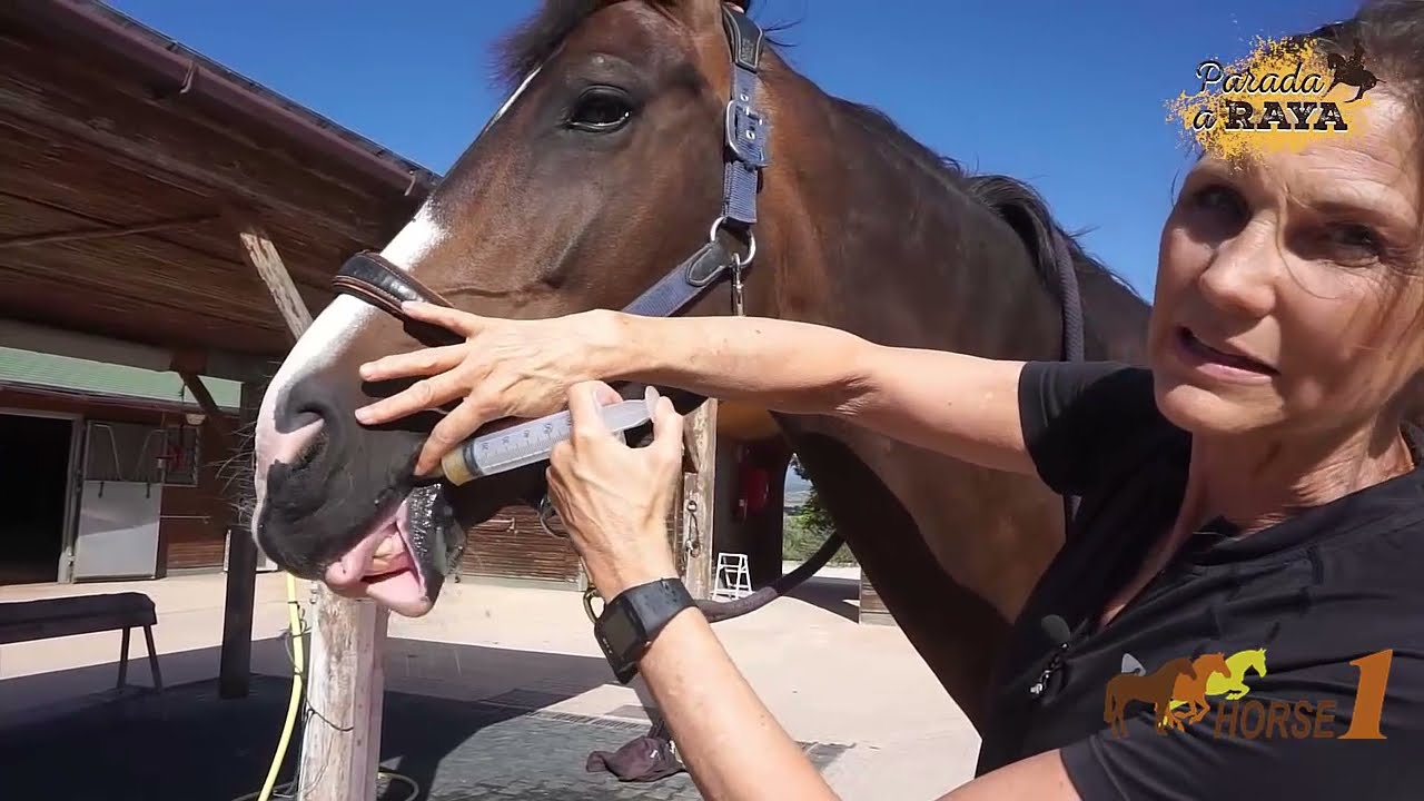 Cómo dar los suplementos en Jeringa a nuestro Caballo
