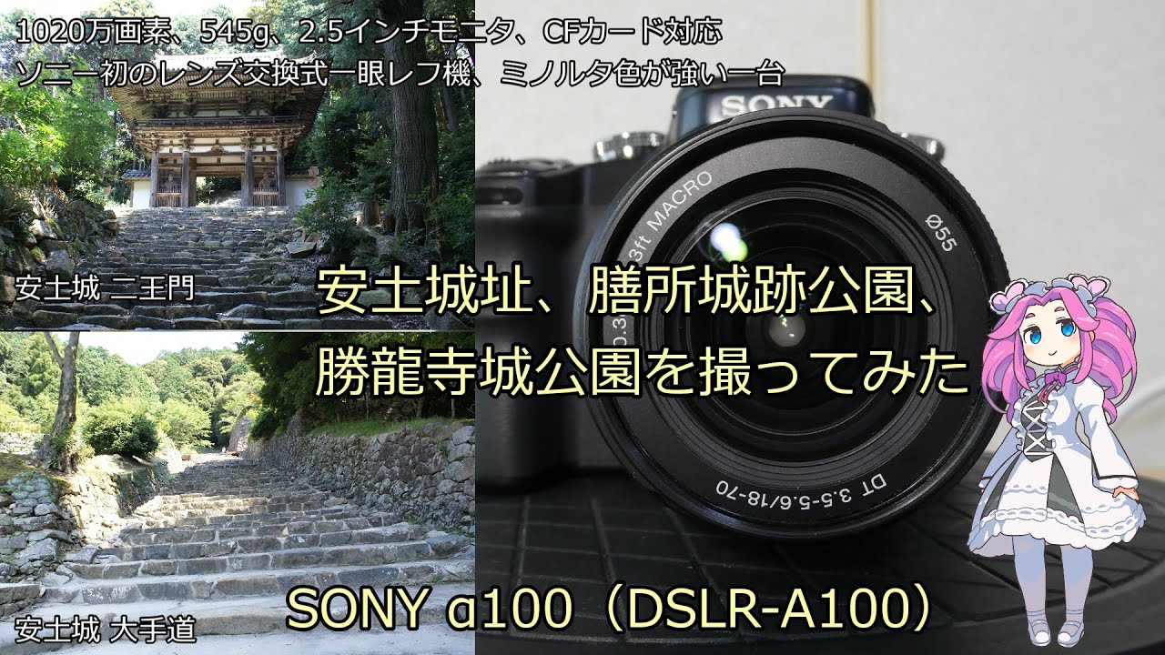 SONY α100（DSLR-A100） ジャンクカメラ紹介 安土城趾、膳所城跡公園、勝龍寺城公園を撮ってみた