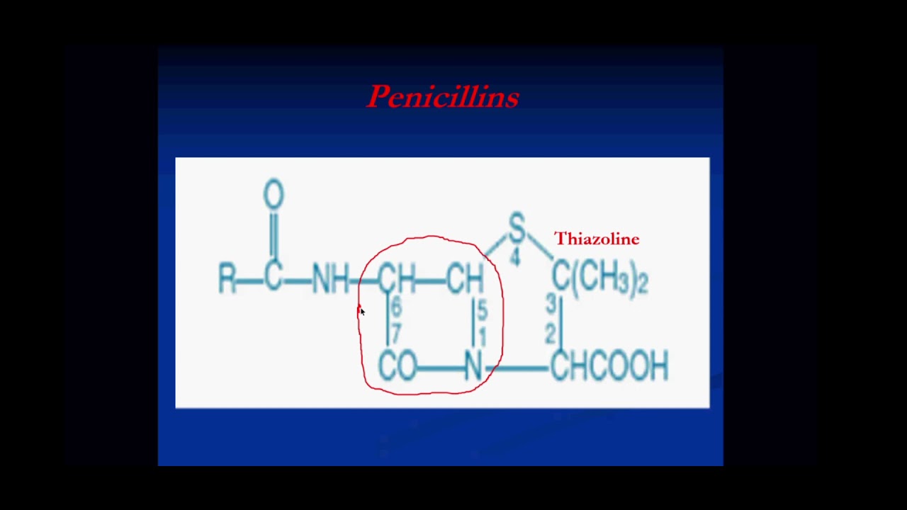 كيمياء صيدلانية || د نور || penicillins الجزء الاول