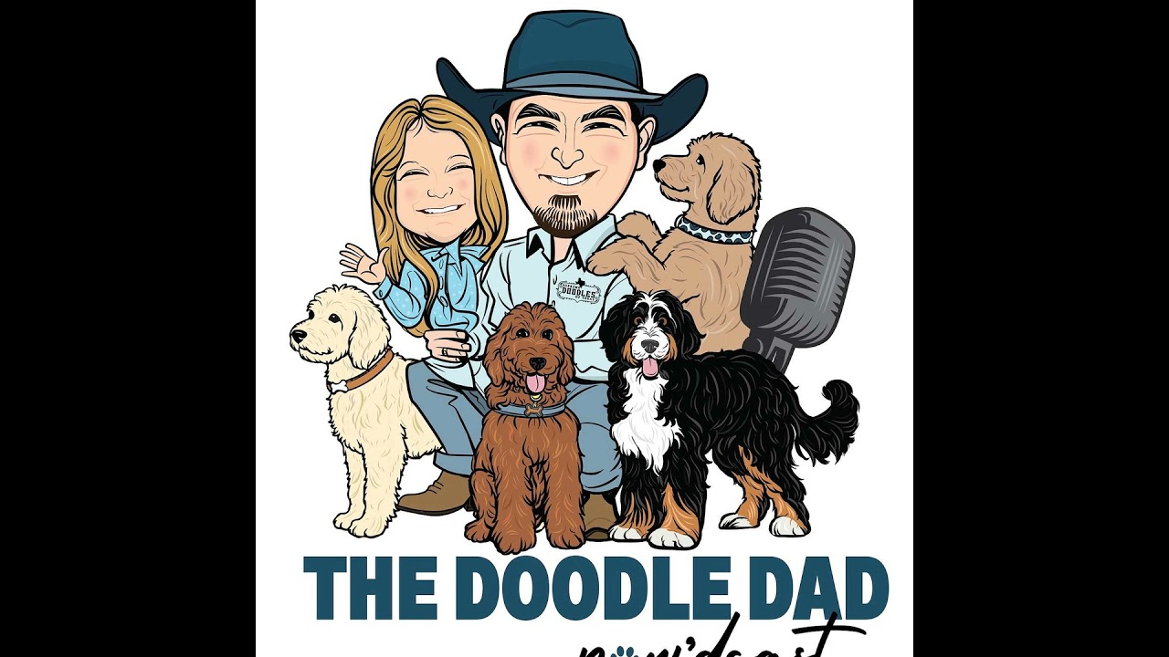The Goldendoodle Cycle: From First Heat to the First Heartbeat