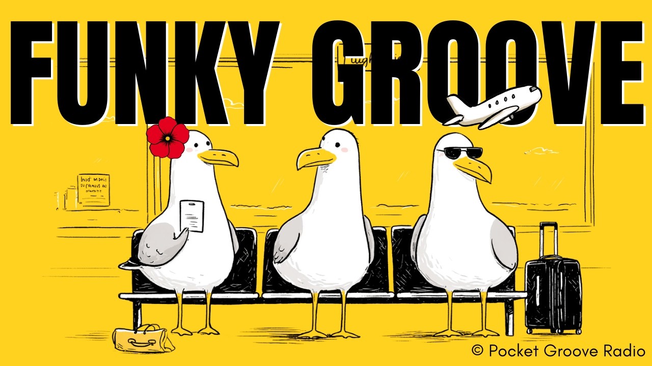 Funky Groove ✈️ Seagulls on Vacation | Airport Chill Pop