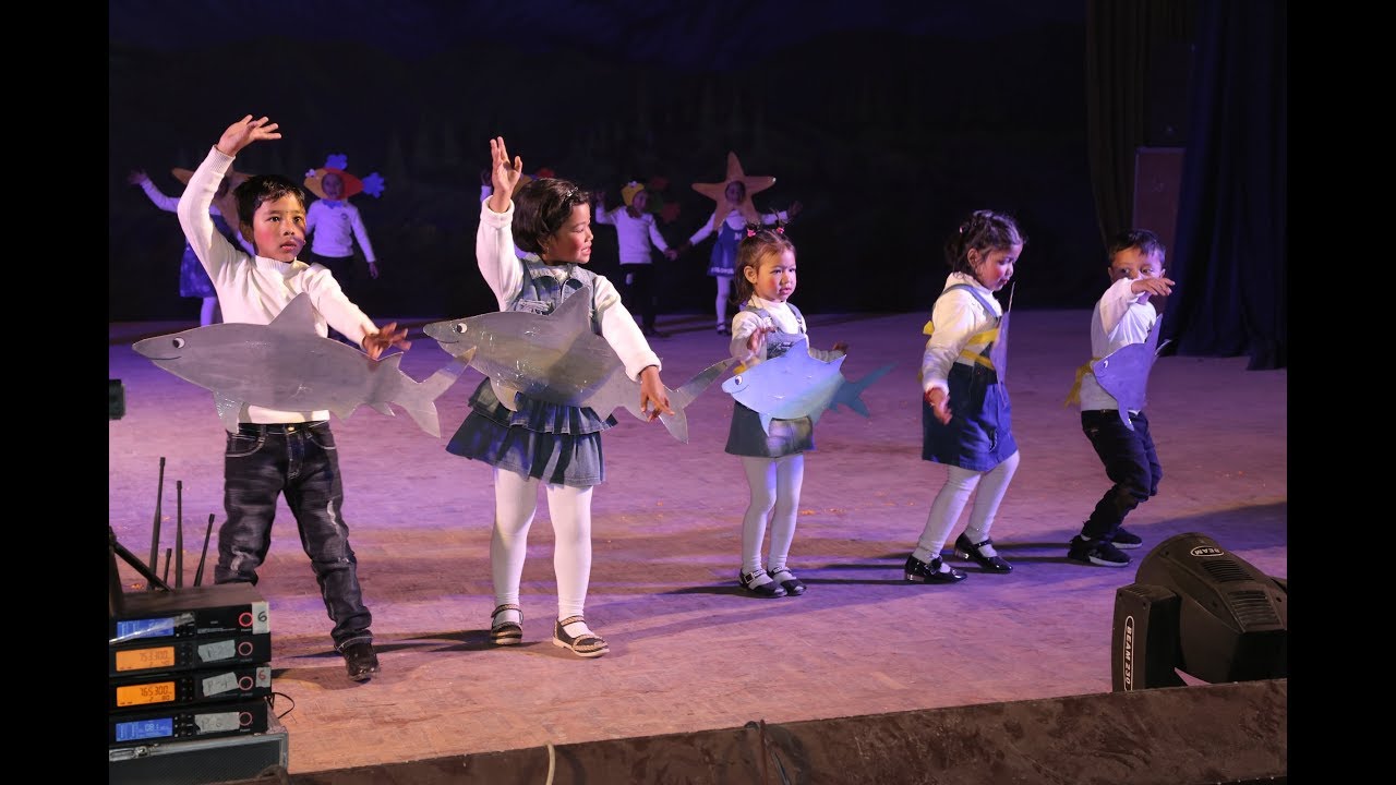 Baby shark-Dance by Prep I | Rosebud School Annual Cultural Show 2075