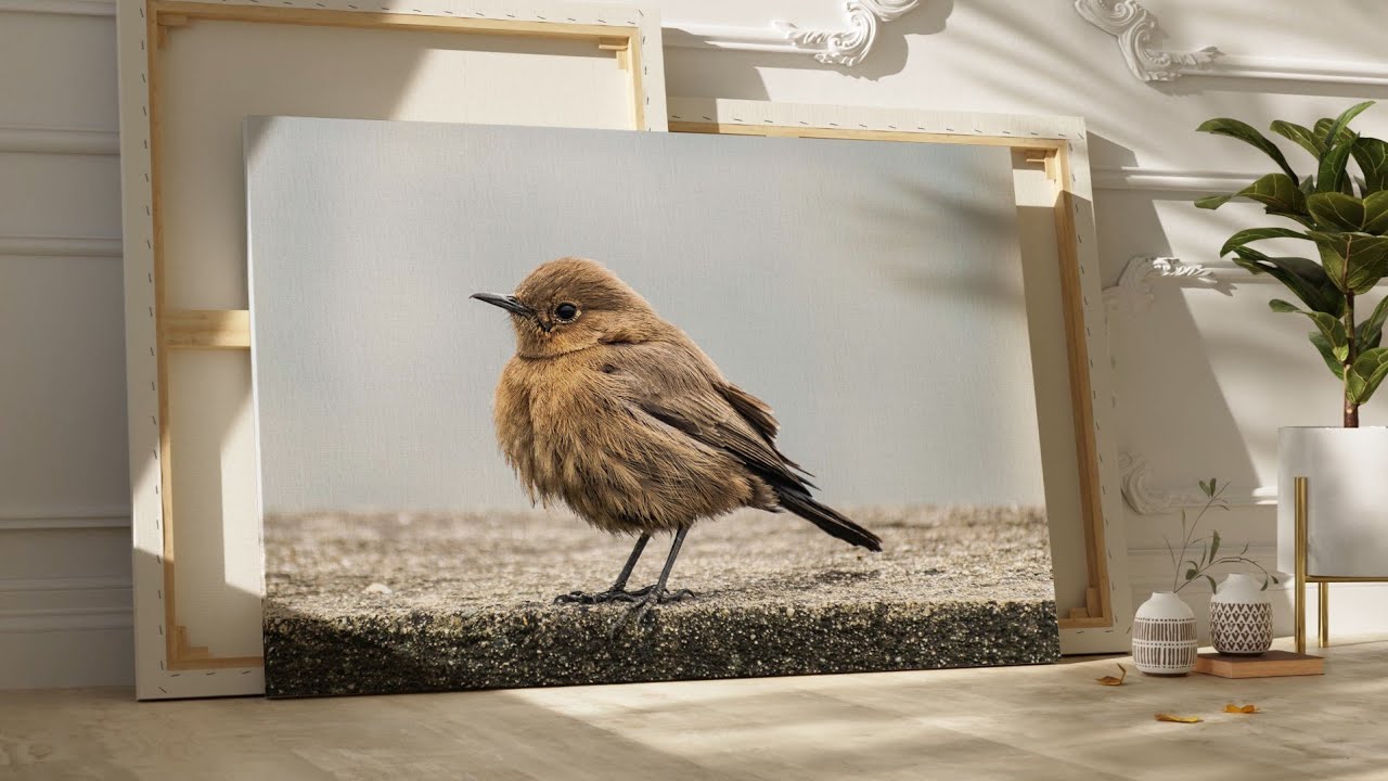 #BirdArt #BirdCanvas #WallArtDecor #BirdPhotography #ArtOfRoyals #HomeDecorIdeas #CanvasWallArt
