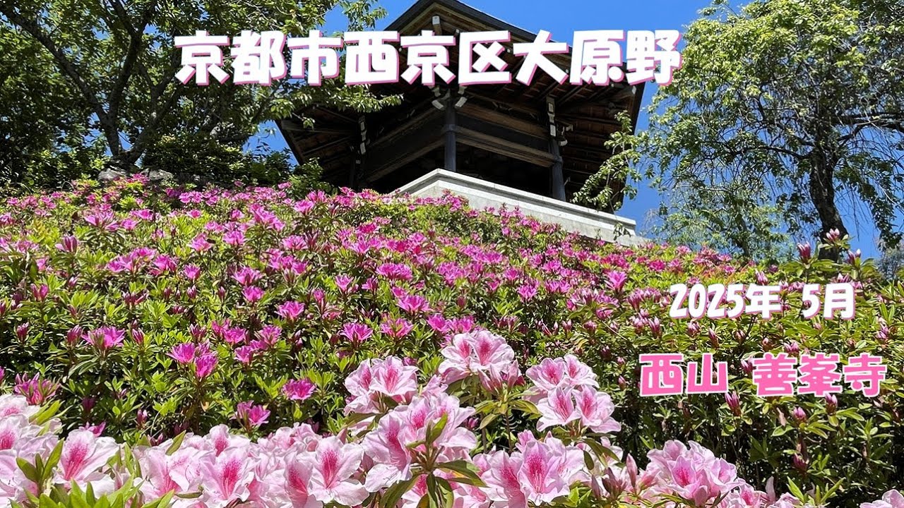 京都市西京区大原野に行ってきました。【2025.05.8】