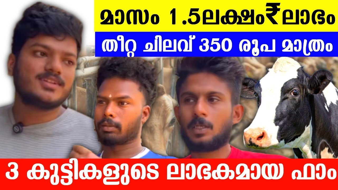 മാസം 1.5 ലക്ഷം ലാഭം കിട്ടുന്ന കുട്ടികളുടെ ഫാം |Successful dairy farming tips 