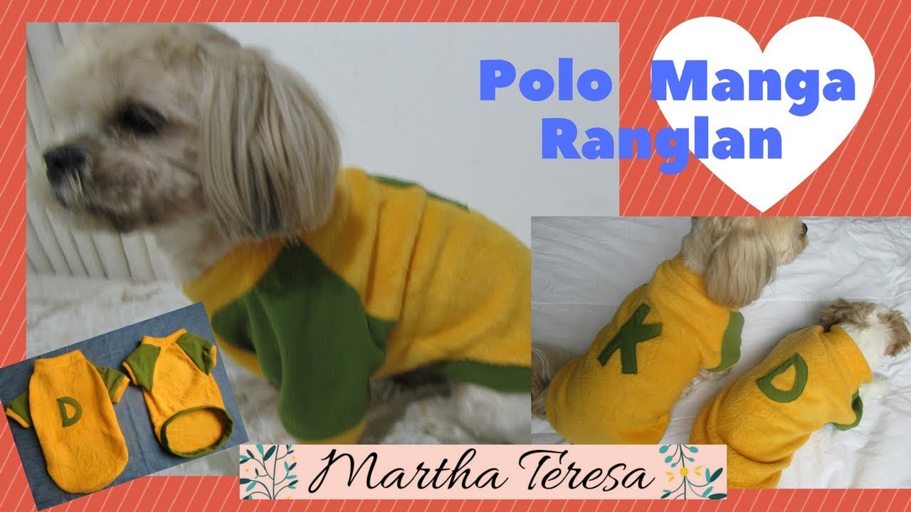 Polo  MANGA RANGLAN para tu Mascotita ¡ Sencillo y Rapido !