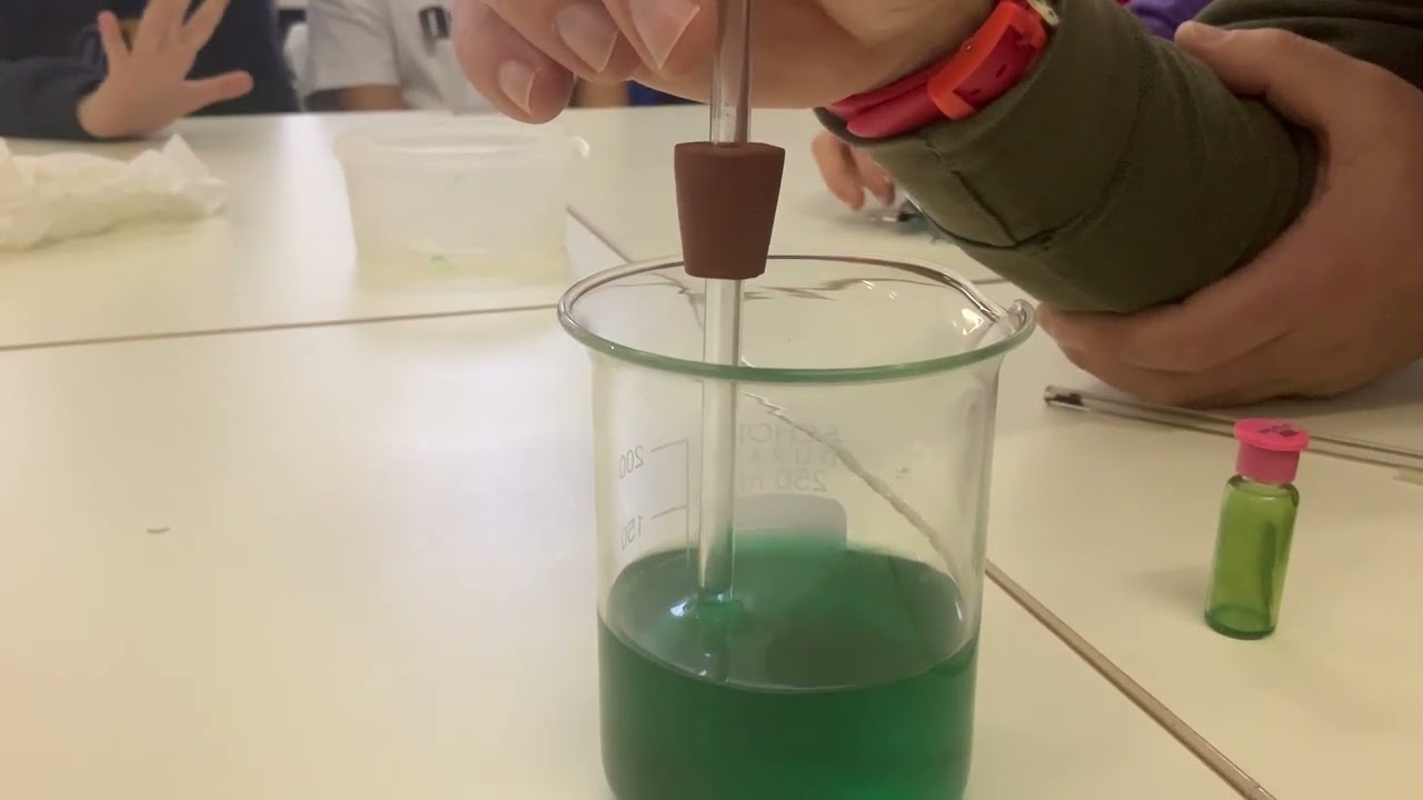 esperimento capillarità con tubetto