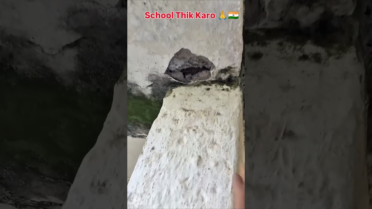 My India is great 😢 #cjp #protest #jpsc #jssc #jharkhand #neet #bihar #fixourschool #shorts