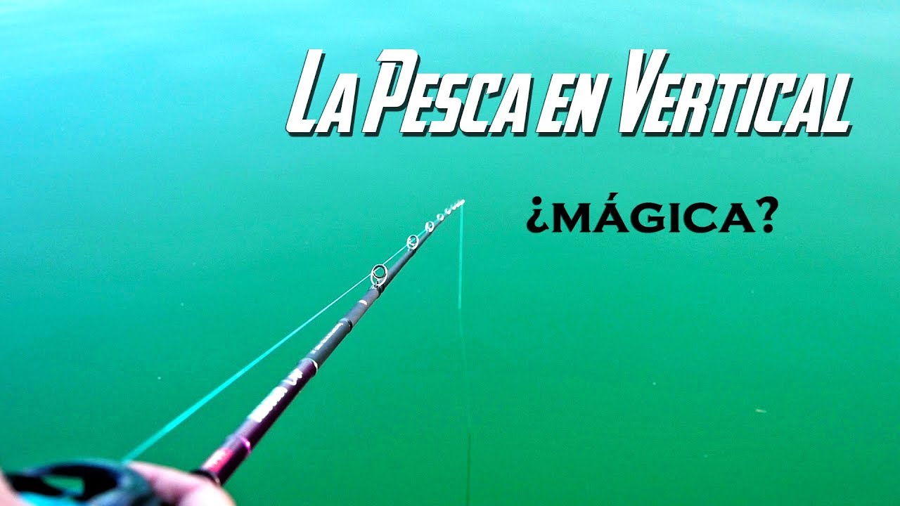 COMO PESCAR en VERTICAL | Nociones BÁSICAS