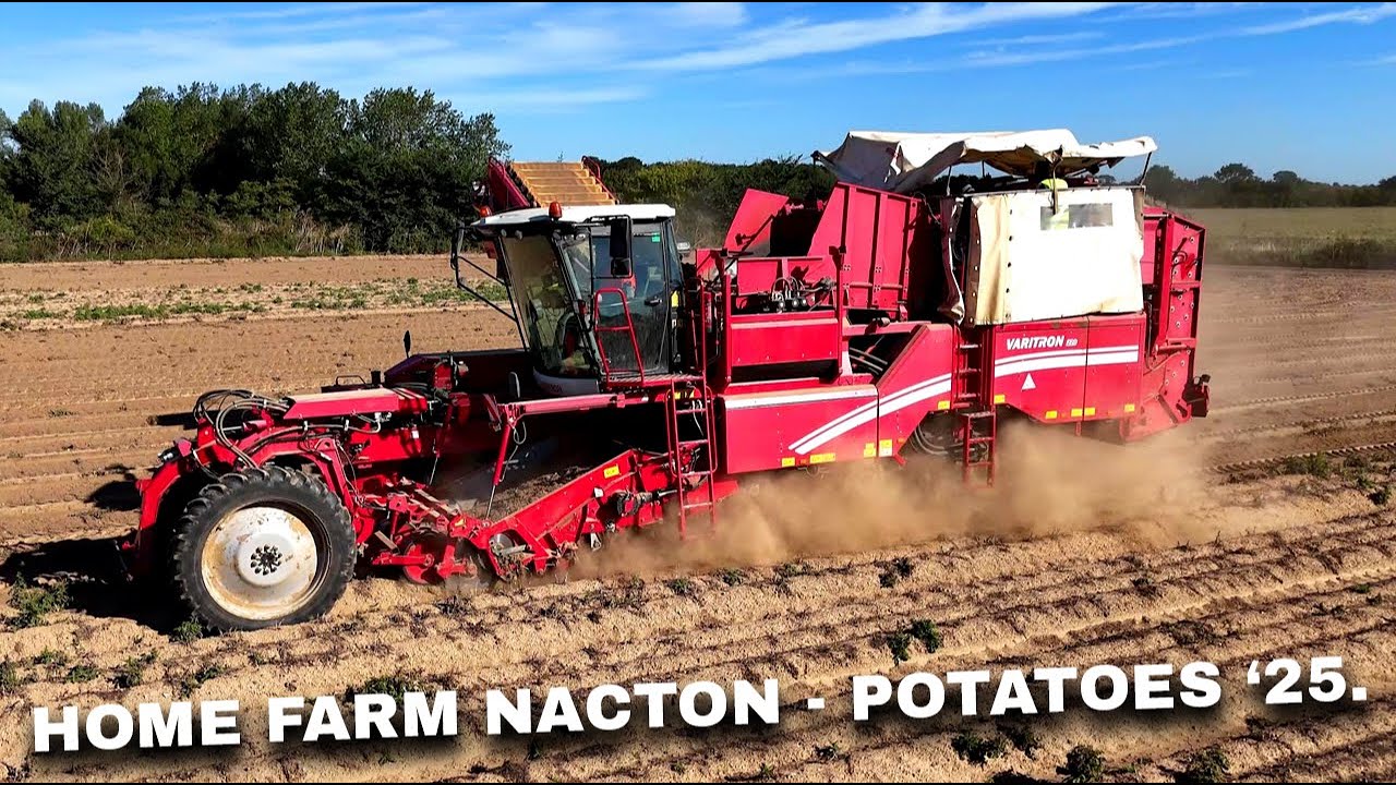 4Kᵁᴴᴰ Harvest 2025: Home Farm Nacton harvesting potatoes with their Grimme Varitron 220 in Suffolk.