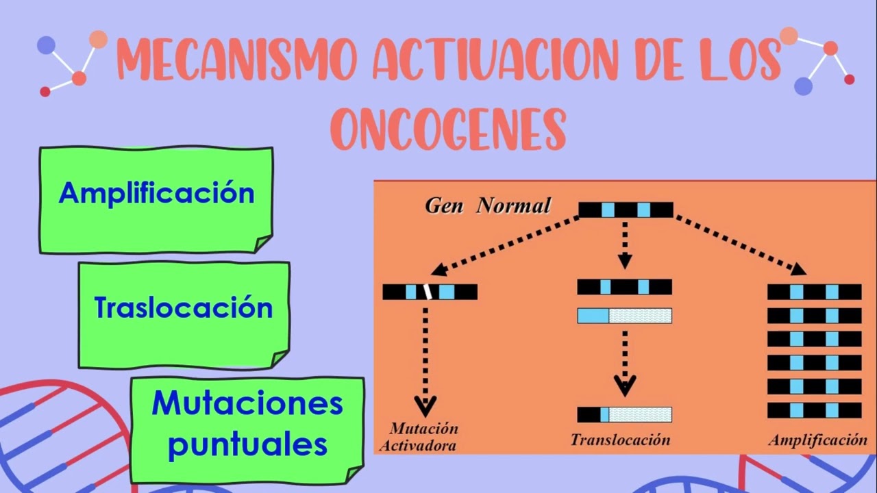 ONCOGENES Y GENES SUPRESORES DEL CANCER