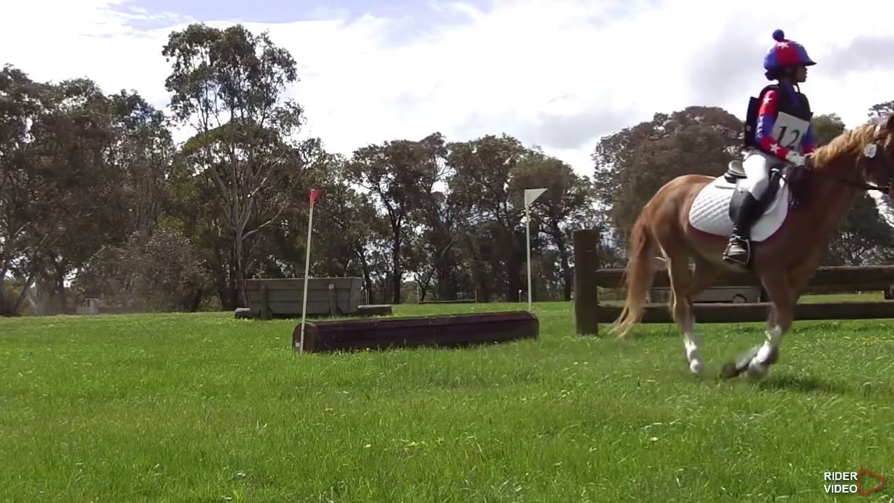 YHPC Horse Trials 2025 - Ciara Pony Club Grade 6 - cross country 