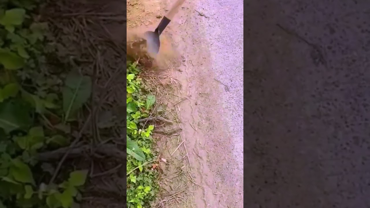 A Simple Smart Tool to Clean Dry Grass 
