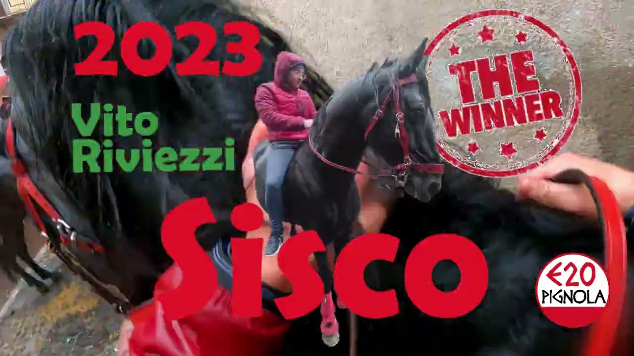 SISCO VINCITORE CORSA DI SANT'ANTONIO 2023 PIGNOLA
