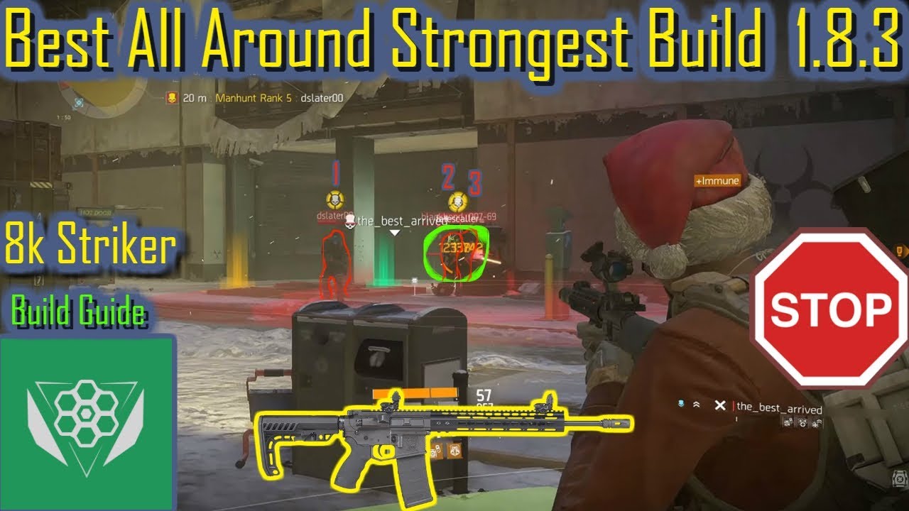 Best All around Strongest build 1.8.3(Striker beam Build)|The Division|