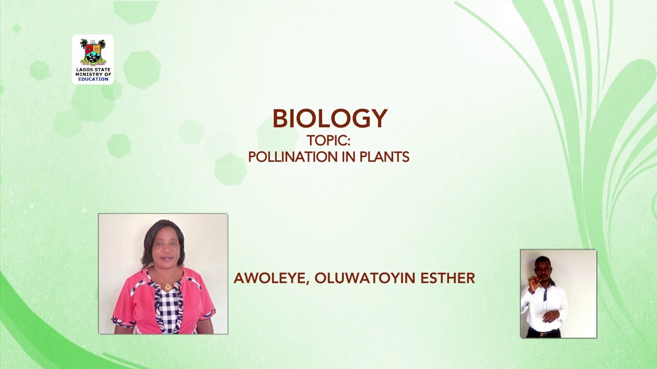 SS3 TV LESSONS BIOLOGY: POLLINATION IN PLANTS