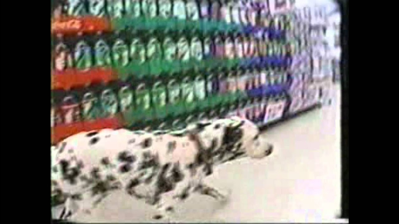 Sublime - Dogs Dub (Unreleased)