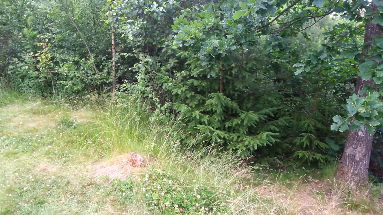 Ekna naturcamping.