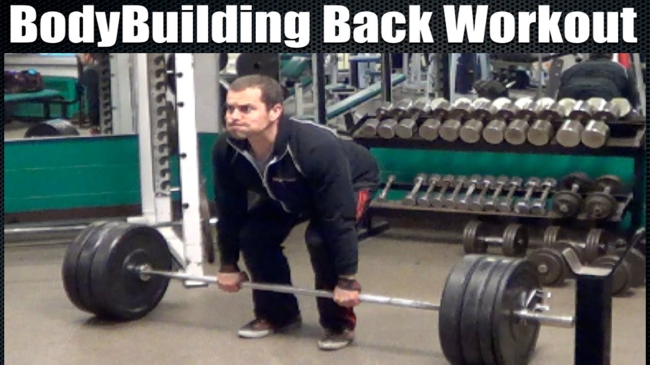Bodybuilding BACK Workout Video