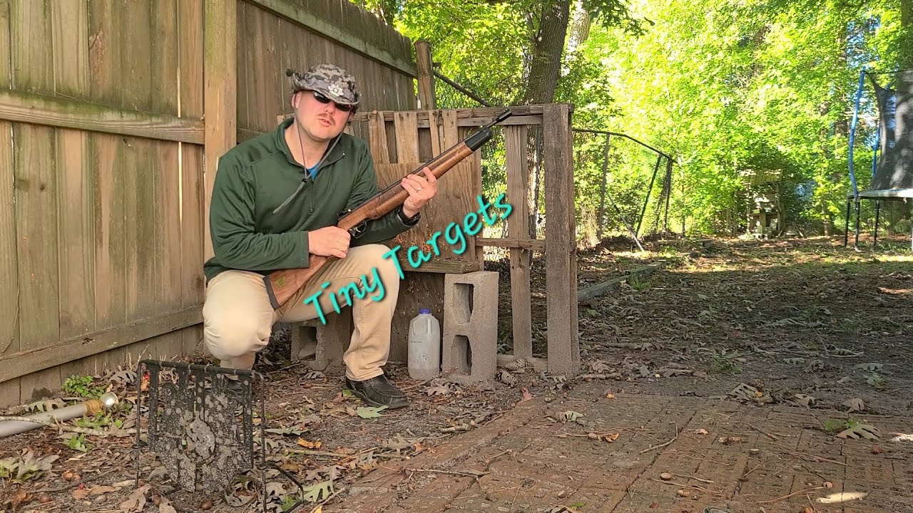 Tiny Targets: Backyard Plinking Fun With Crosman 362 100th Anniversary Edition