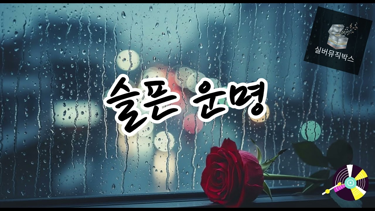 💔 슬픈 운명 (Sad Destiny) #발라드트로트
