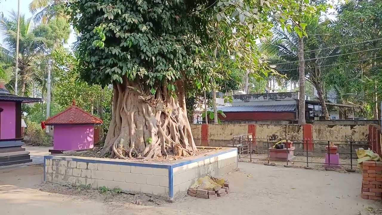 ചങ്കേത്ത് ശ്രീഭദ്രകാളി ക്ഷേത്രം (Chanketty Sree Bhadrakali Temple) kollam #viral #temple #kollam 