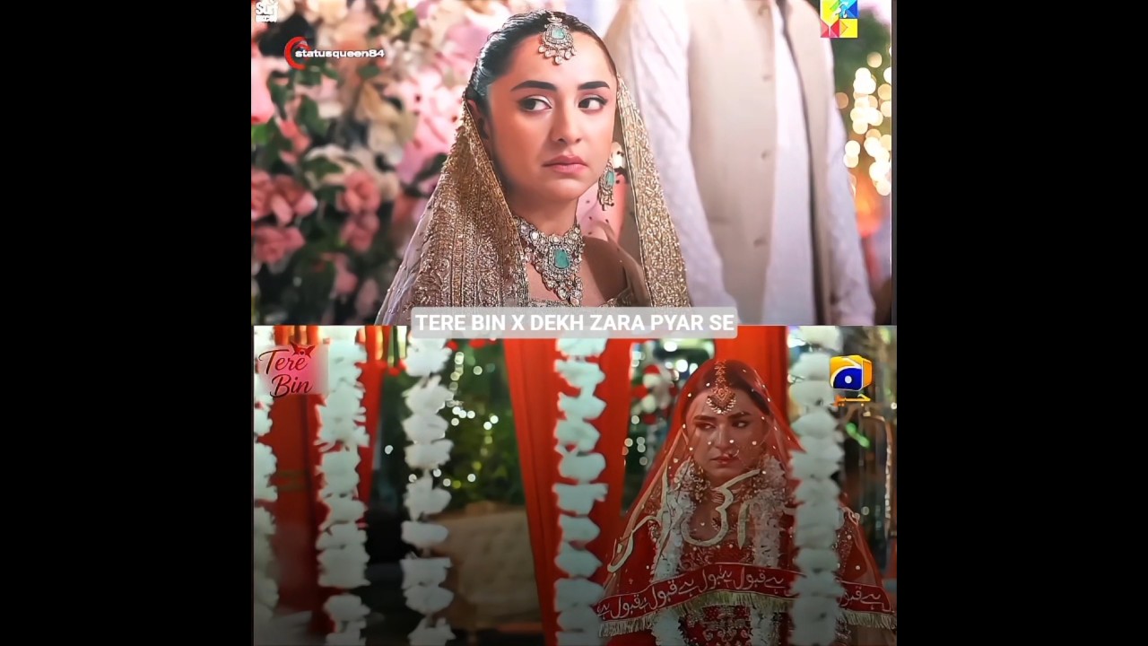 Tere bin X dekh zara pyar se😭🤌🏼 #yumnazaidi #hamzasohail #wahajali #dekhzarapyarse #terebin#trending