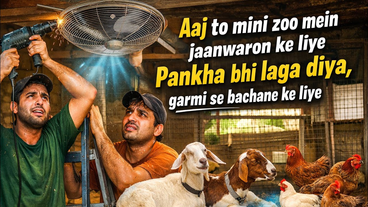 Aaj Mini Zoo me Hamne Pankha Lagaya! Dekho Animals Ka Reaction 😱