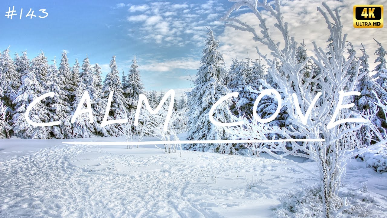 ❄️ Winter Wonderland: Relaxing Music and Snowy Scenes ⛄