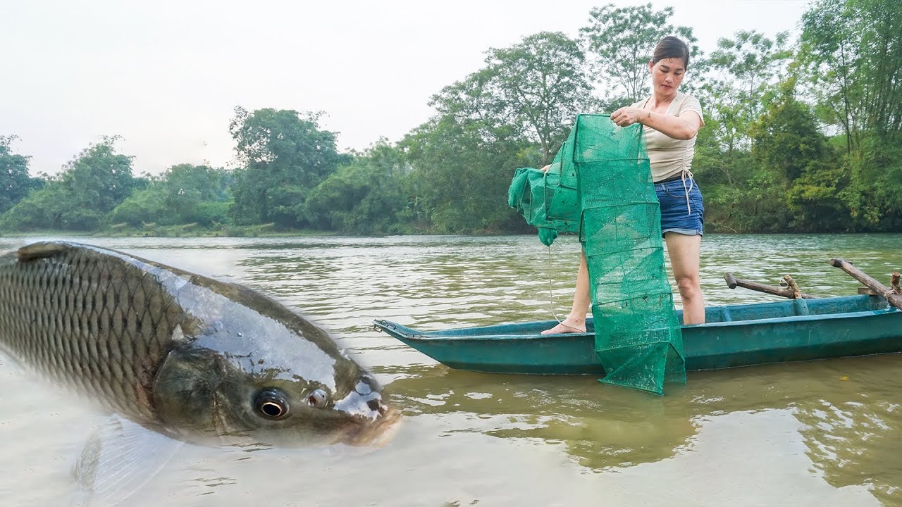 Unique Fishing: Casting the Bagua net, the boat caught many fish, fishing skills