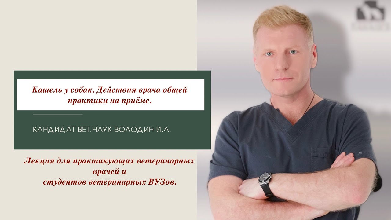 Кашель у собаки. Действия врача общей практики на приёме. Часть первая.
