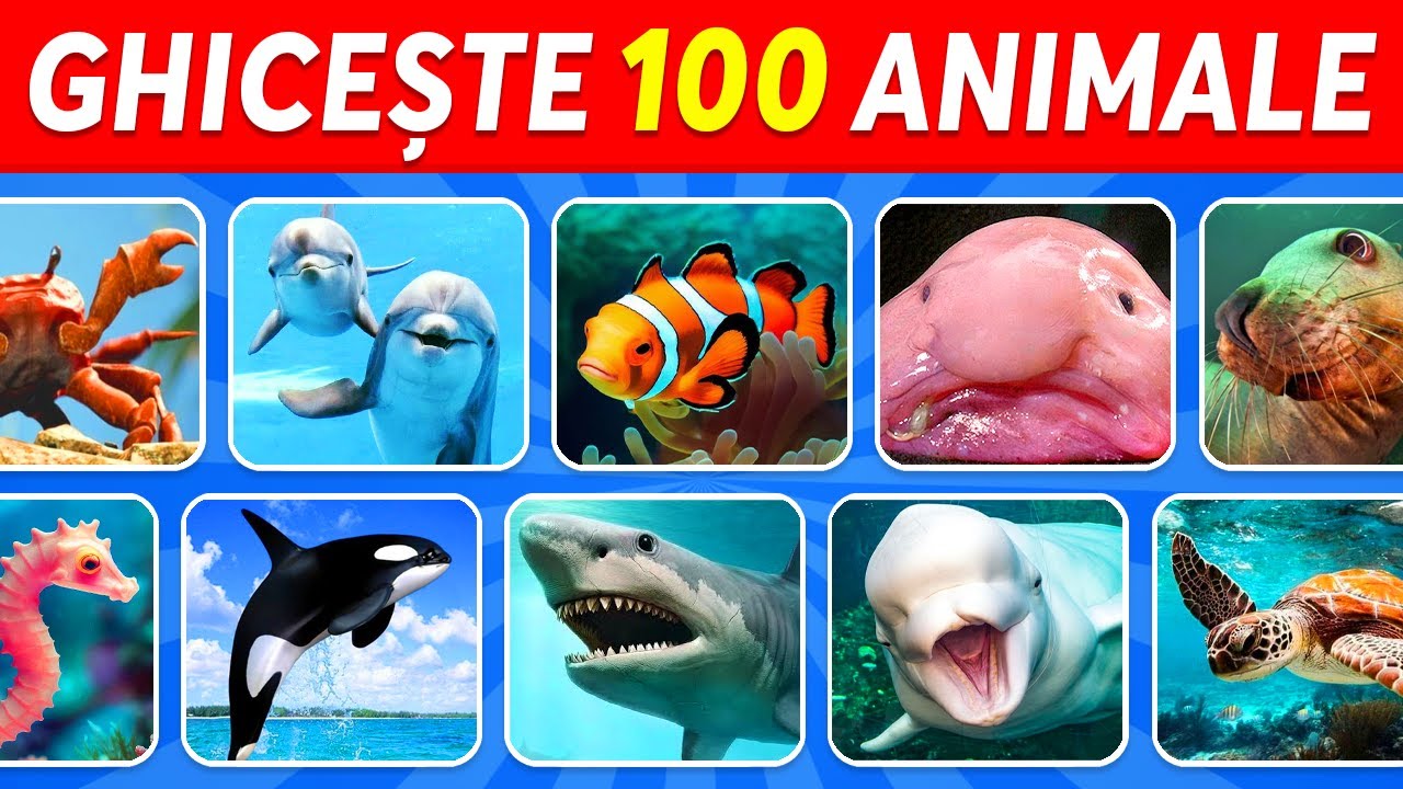 Ghicește 100 de Animale Marine &icirc;n 3 secunde | Ușor, Mediu, Greu, Imposibil