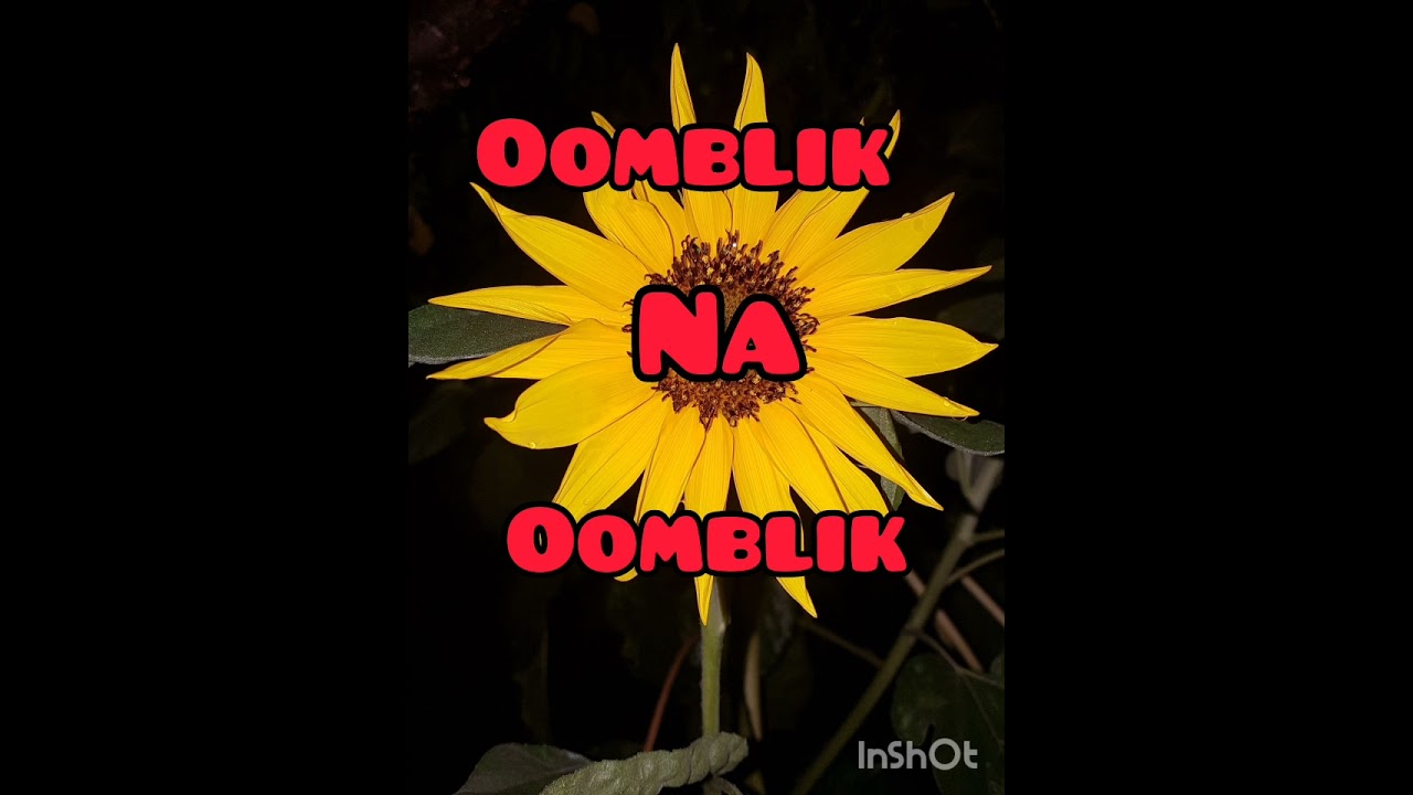 Oomblik na oomblik