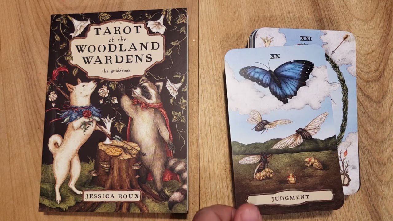 Tarot Of The Woodland Wardens Deck Preview Flip Through Illustrator Jessica Roux