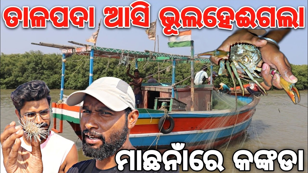 ରାତି ୨ଟାରେ ଧରିଲୁ ସମୁଦ୍ର କଙ୍କଡା | Talpada Sea Beach Camping | 