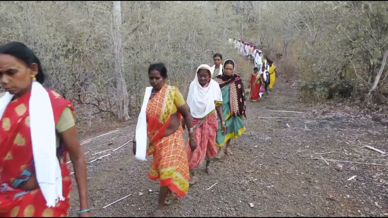 7 July 2025.Pillan,Pavidekad,Kolam,Vidio