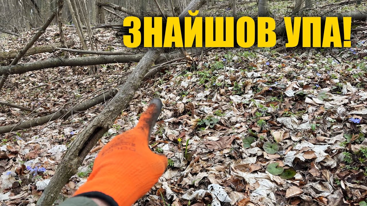 Пошук біля хутору де було УПА. Пошук з металошукачем в Україні
