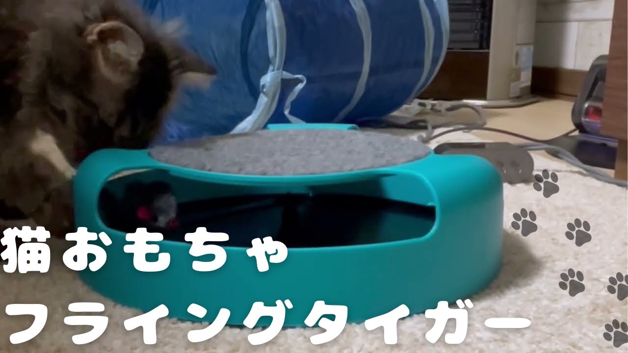 北欧フライングタイガーのおもちゃ、猫くうちゃんの反応は？