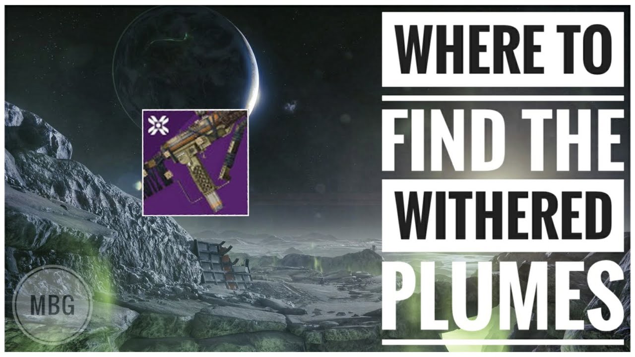 Withered Plumes location Destiny 2 | Essence of Obscurity Quest item guide