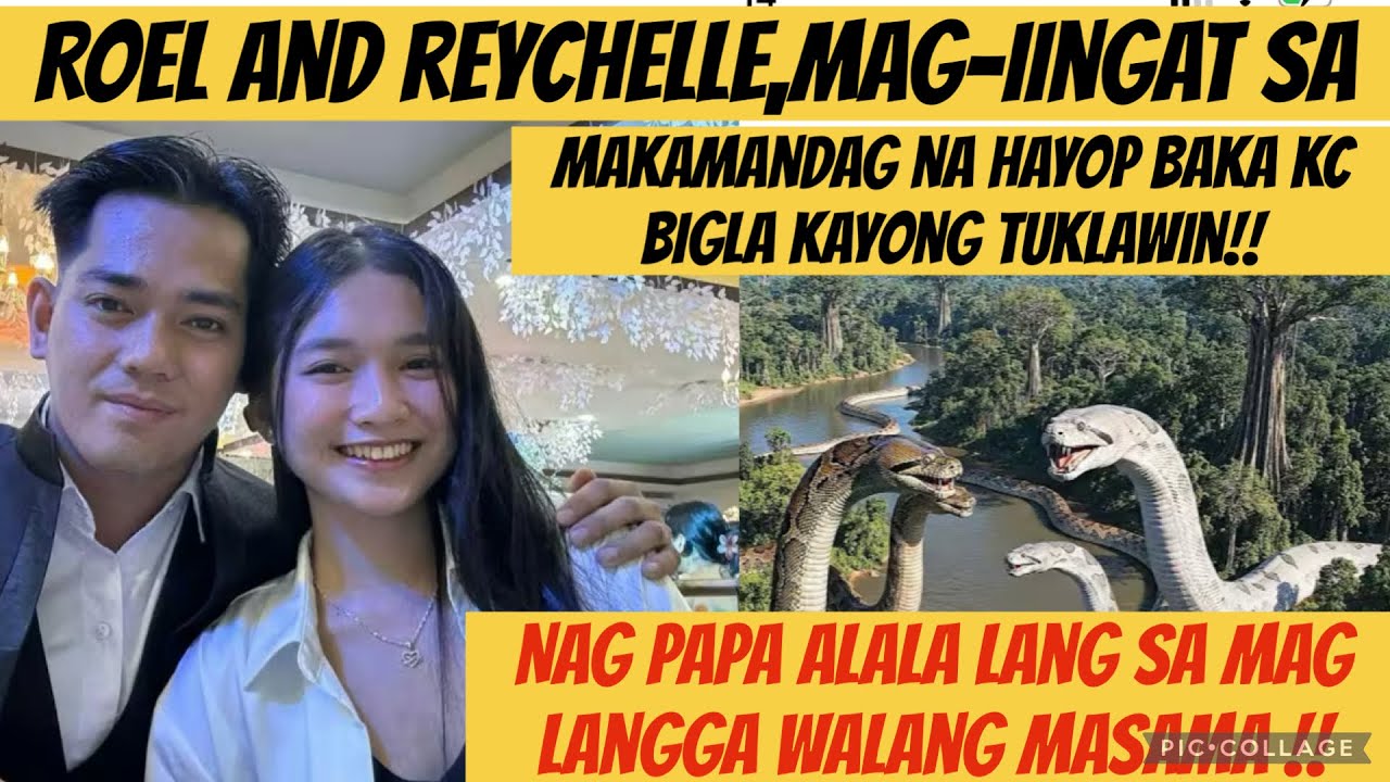 Paalala ki Roel at Reychelle mag ingat sa makamandag na hayop baka matuklaw!#roelofmalalag 