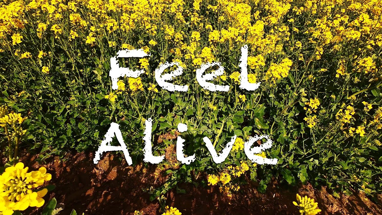 Feel Alive FPV