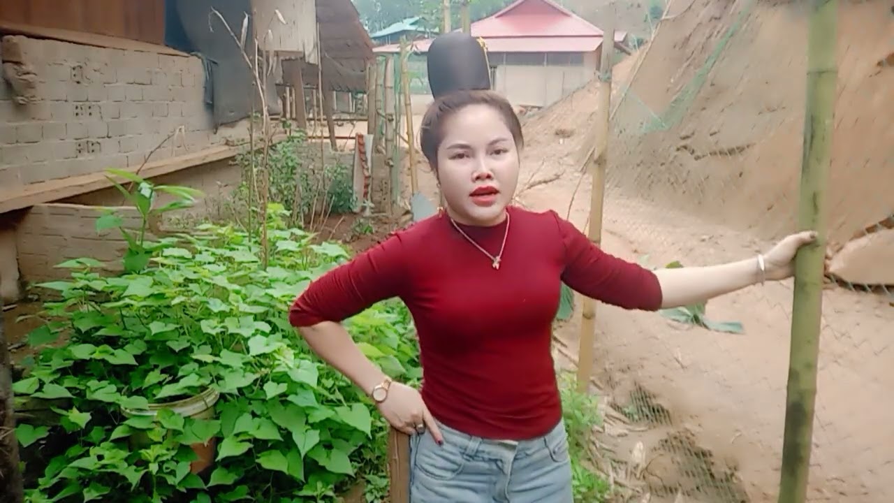 CHỊ TƯƠI PHÁ QUÁM PAY NHINH KIM LIÊN TÂN UYÊN VÓ PÀY DÀN XỊN ai cũng tươi phạo hênh vớ thả em tươi 😭