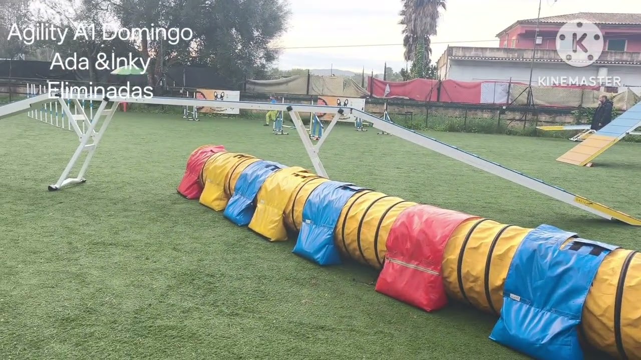 PRUEBA RSCE ENERO 2026 C.A. SON GUAL ADA , ARANTZA, INKY Y ASAP ( Juez Rafa Arjona)