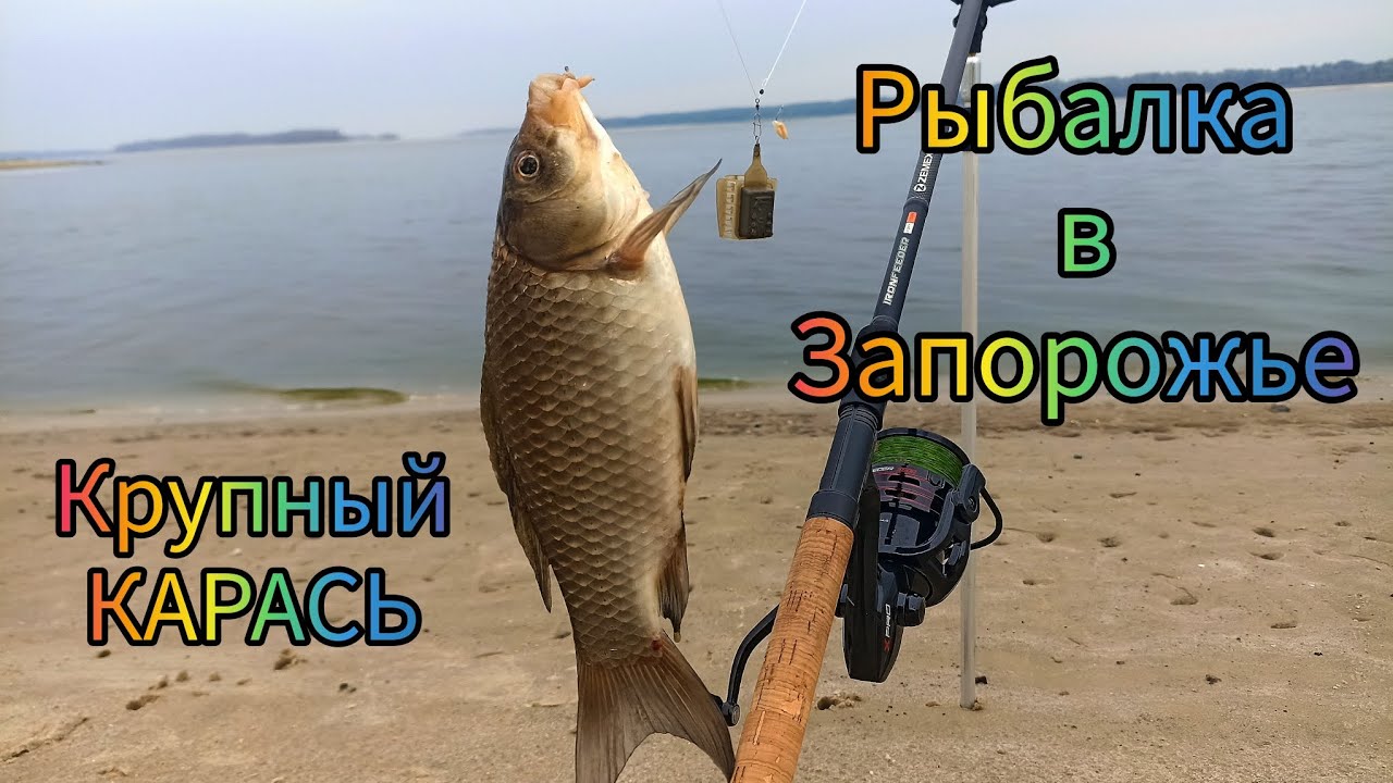 Рыбалка в Запорожье!!! Крупный карась!!!