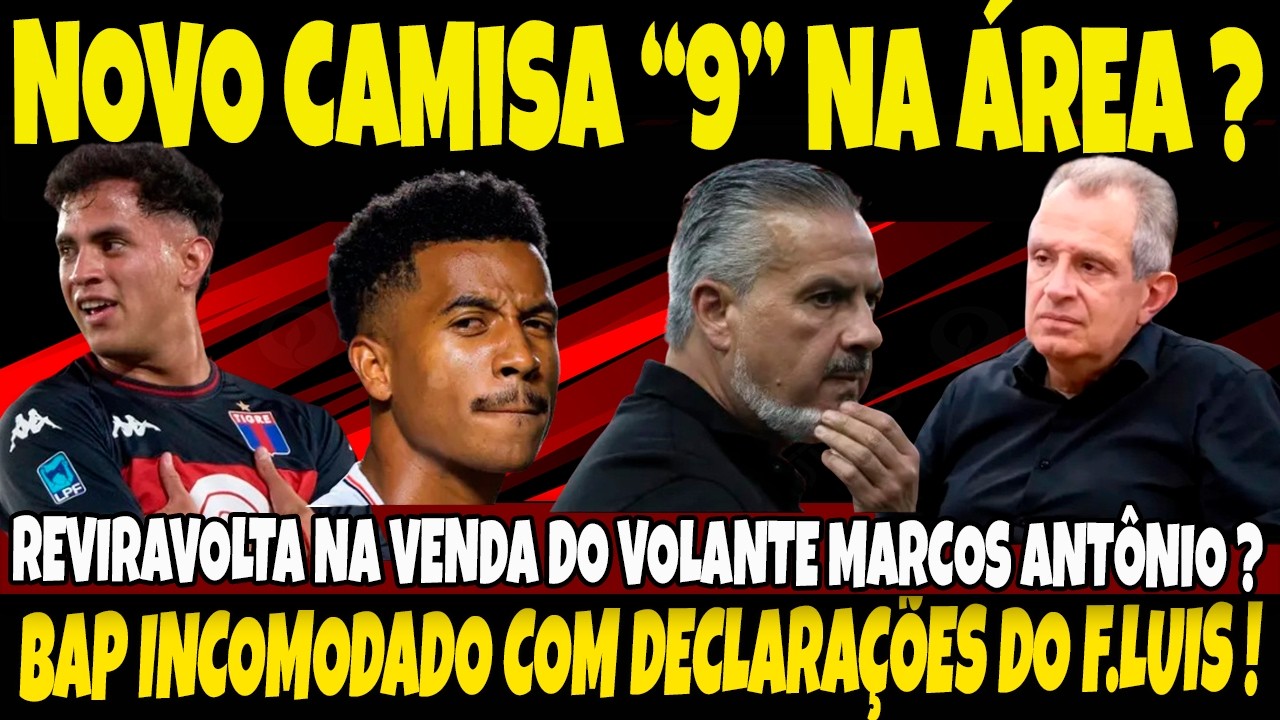 NOVO CAMISA 